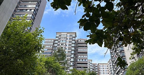 批量域名注册赚钱