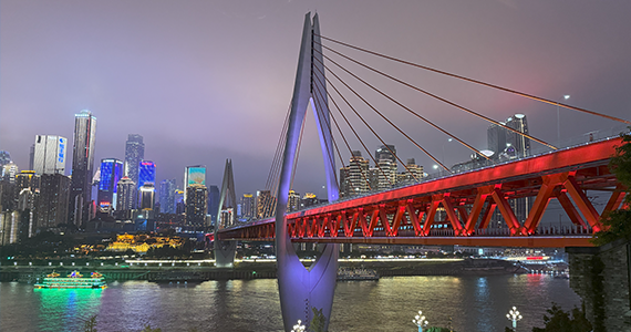 如何批量注册域名文档介绍内容